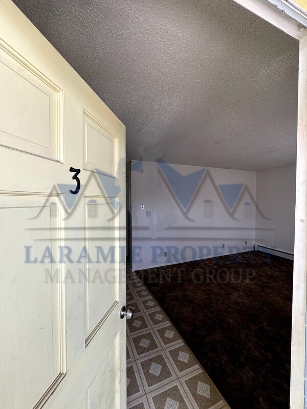 702 Downey St in Laramie, WY - Building Photo - Building Photo