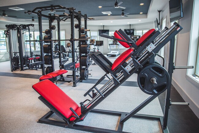 Integra 289 Exchange photo'