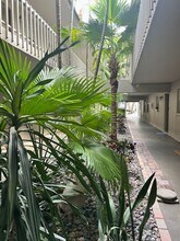 3360 S Osprey Ave in Sarasota, FL - Building Photo - Building Photo