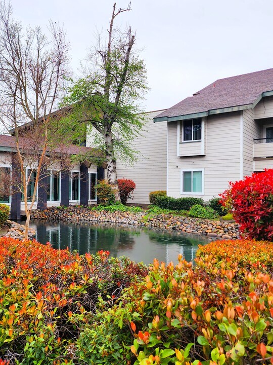 The Atrium at Carmichael Photo