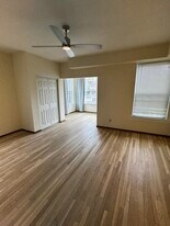 6273 Delmar Blvd in University City, MO - Building Photo