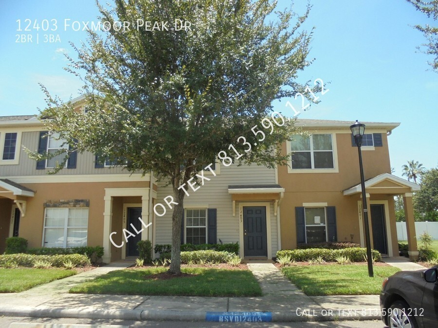 12403 Foxmoor Peak Dr in Riverview, FL - Foto de edificio