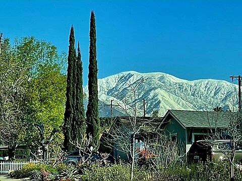 450 Converse Ave, Unit I bedroom 1 bath in Claremont, CA - Building Photo