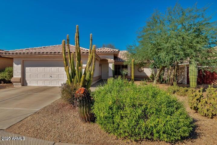 1712 W Sparrow Dr in Chandler, AZ - Building Photo