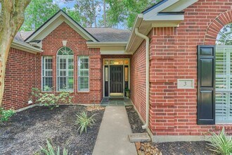 3 E Night Heron Pl in Spring, TX - Building Photo - Building Photo
