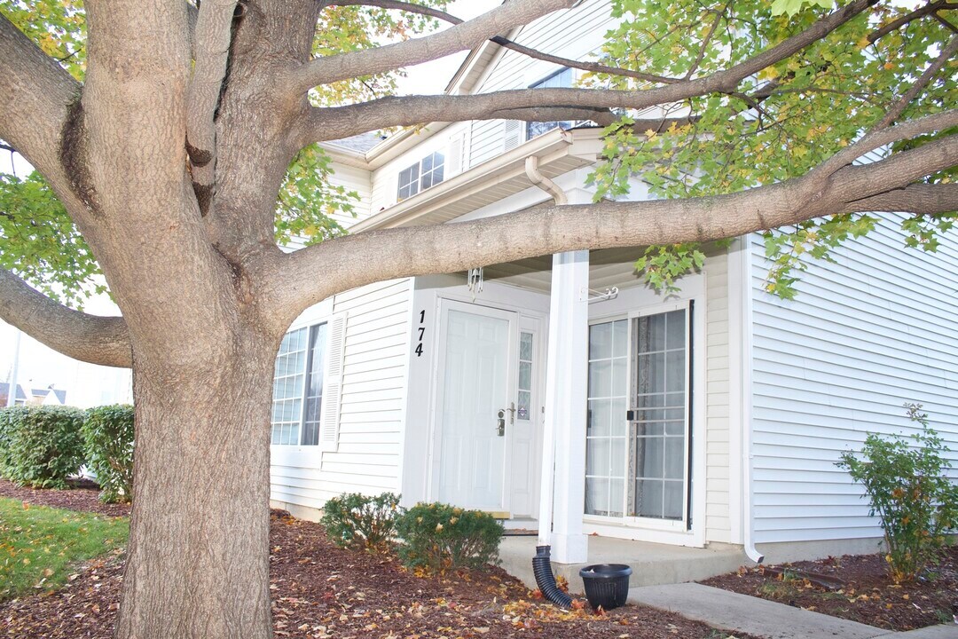 174 Heather Glen Dr in Aurora, IL - Building Photo