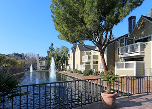 Reflections in San Ramon, CA - Foto de edificio - Building Photo