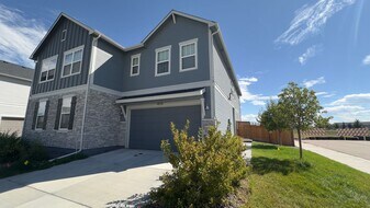 4528 Barrow Ln in Timnath, CO - Building Photo