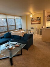 3550 N Lake Shore Dr in Chicago, IL - Building Photo - Building Photo