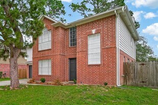 14227 Cypress Valley Dr in Cypress, TX - Building Photo