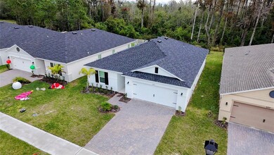3293 Sanctuary Dr in Clermont, FL - Building Photo - Building Photo