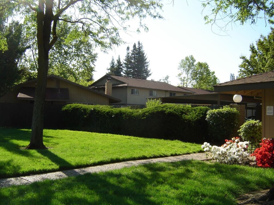 The Place Apartments in Yuba City, CA - Building Photo