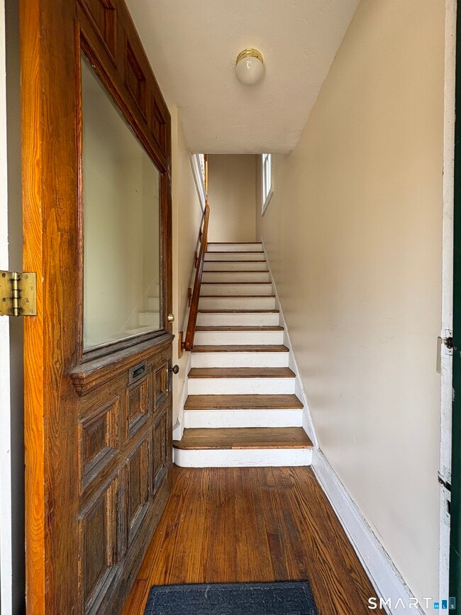 799 Elm St in New Haven, CT - Building Photo - Building Photo