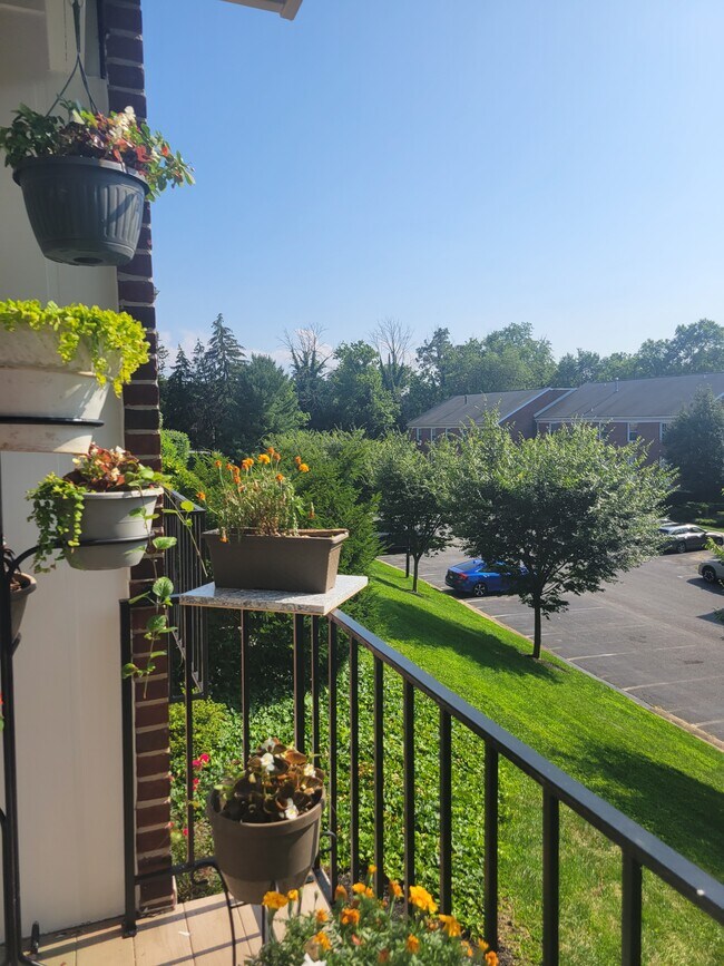 341 Homeland Southway, Unit 2A in Baltimore, MD - Foto de edificio - Building Photo