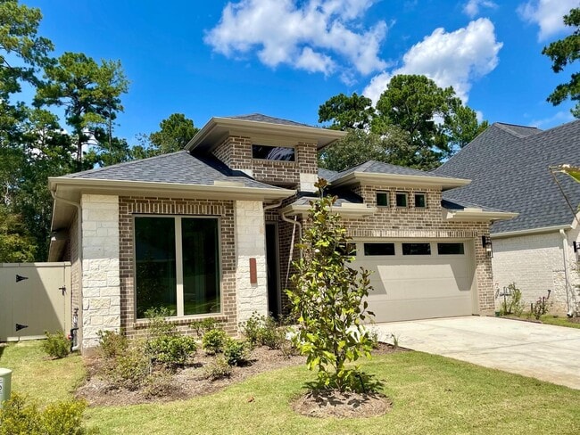151 Harlequin Duck Ct in Magnolia, TX - Building Photo - Building Photo