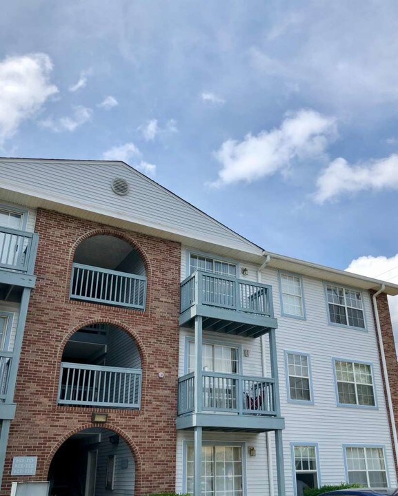 251 Simpson Ave in Lexington, KY - Building Photo
