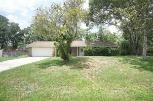 6005 Christy Ln in Riverview, FL - Building Photo