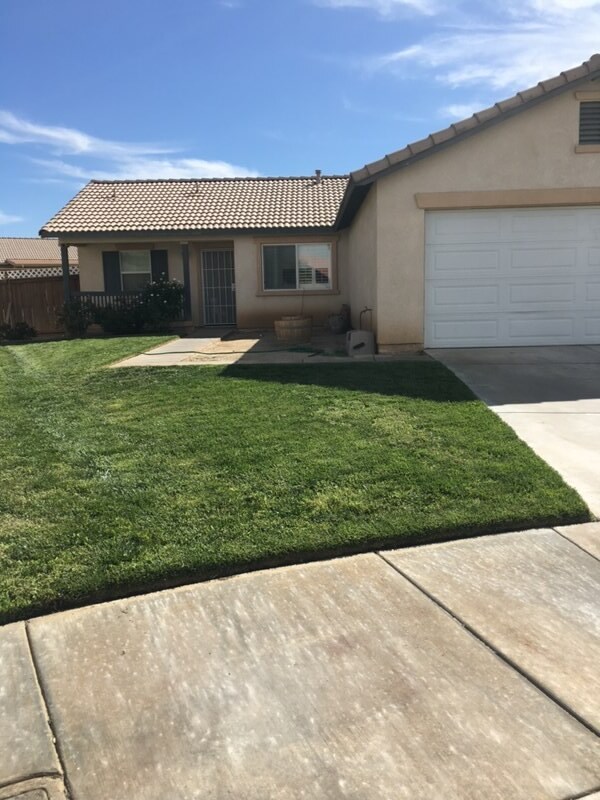 15226 Lynch Ct Rentals in Adelanto, CA
