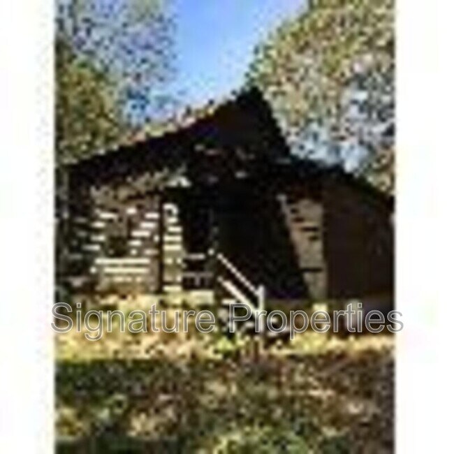 1078 Arrington Trail in Virgilina, VA - Building Photo - Building Photo