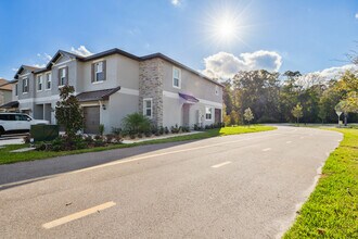 17504 Nectar Flume Dr in Land O Lakes, FL - Building Photo - Building Photo