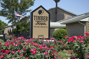 Timber Run Apartments in Houston, TX - Building Photo