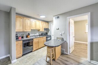 3844 Park Ave in St. Louis, MO - Building Photo - Building Photo