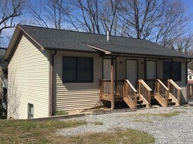 113 E Henry St in Lexington, VA - Building Photo