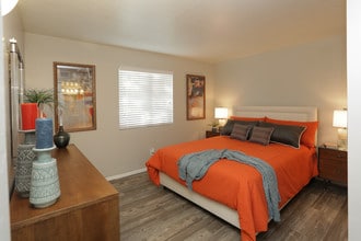Agave Apartments in Tucson, AZ - Building Photo - Interior Photo
