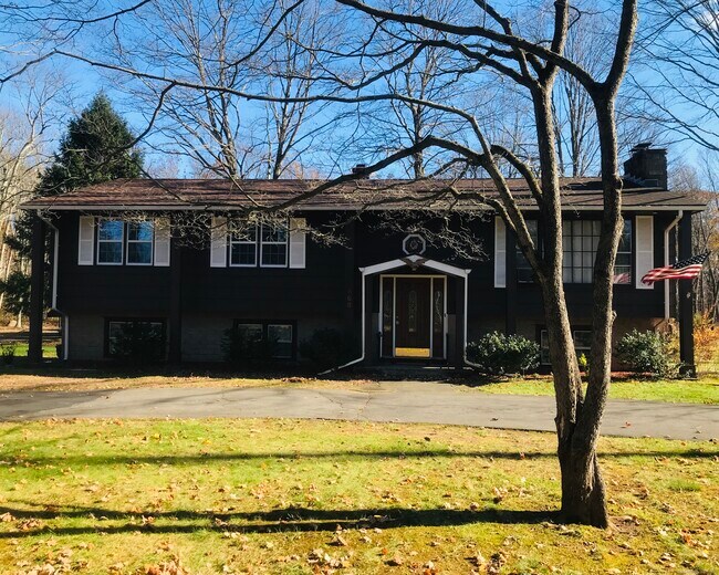 669 Still Hill Rd in Hamden, CT - Building Photo - Building Photo