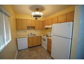 11713 Raintree Village Blvd in Temple Terrace, FL - Building Photo - Building Photo