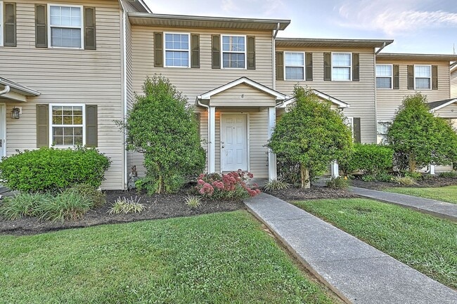 2305 S Greenwood Dr in Johnson City, TN - Building Photo - Building Photo