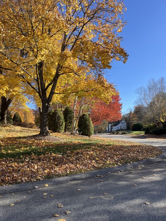 26 Apache Way in Tewksbury, MA - Building Photo