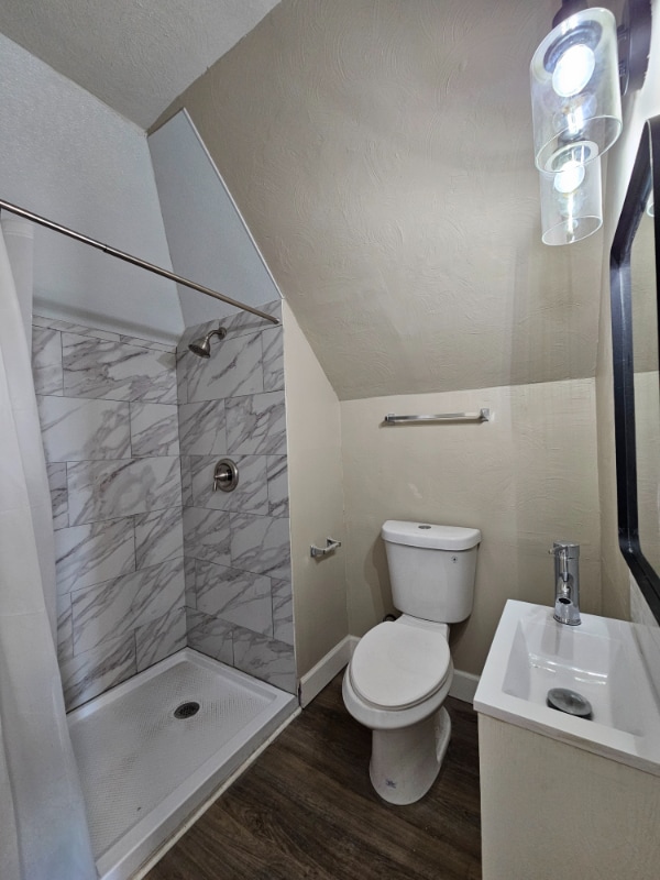 233 W Madison St, Unit 10 in Rochester, PA - Building Photo - Building Photo