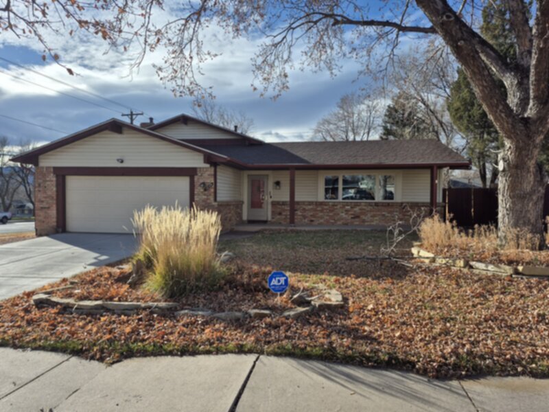 1004 Wynkoop Dr in Colorado Springs, CO - Building Photo