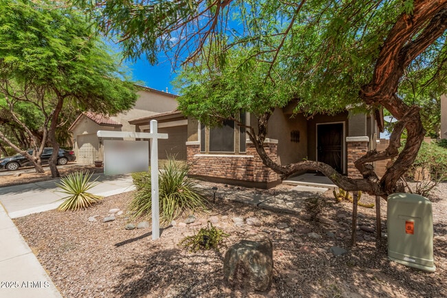 298 E Diamond Trail in San Tan Valley, AZ - Building Photo - Building Photo