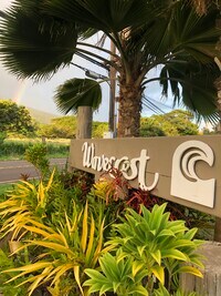 7142 Kamehameha V Hwy - 26