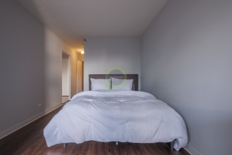 454 E Ohio St in Chicago, IL - Building Photo - Building Photo