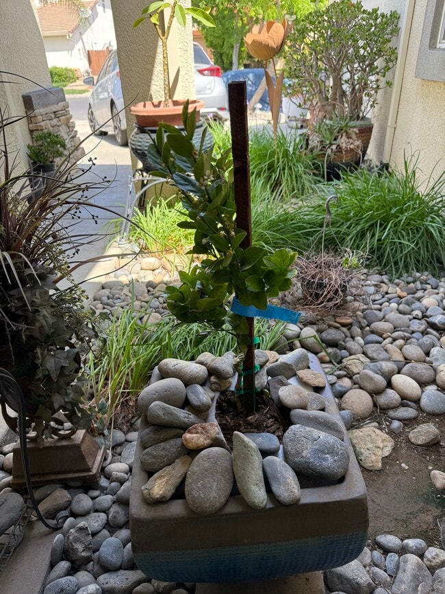 3584 Wild Oak Dr in Ceres, CA - Building Photo - Building Photo