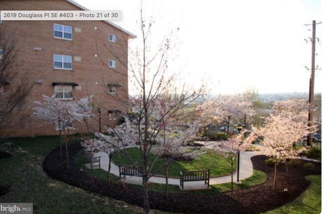 2617 Douglass Pl SE, Unit 303 in Washington, DC - Foto de edificio - Building Photo