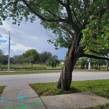 19930 SW 118th Pl in Miami, FL - Building Photo - Building Photo