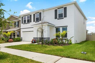 33675 Elm Hl Br in Wesley Chapel, FL - Building Photo - Building Photo