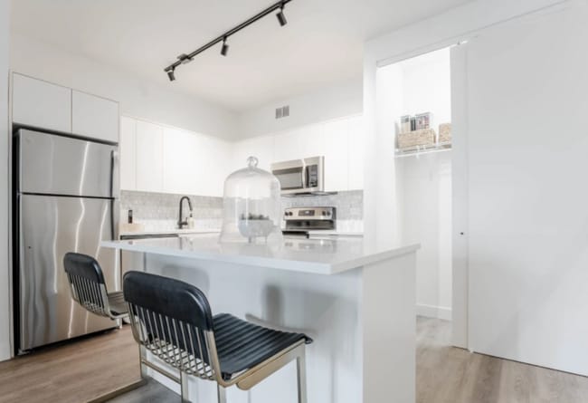 53 E Chestnut St in Chicago, IL - Building Photo - Building Photo