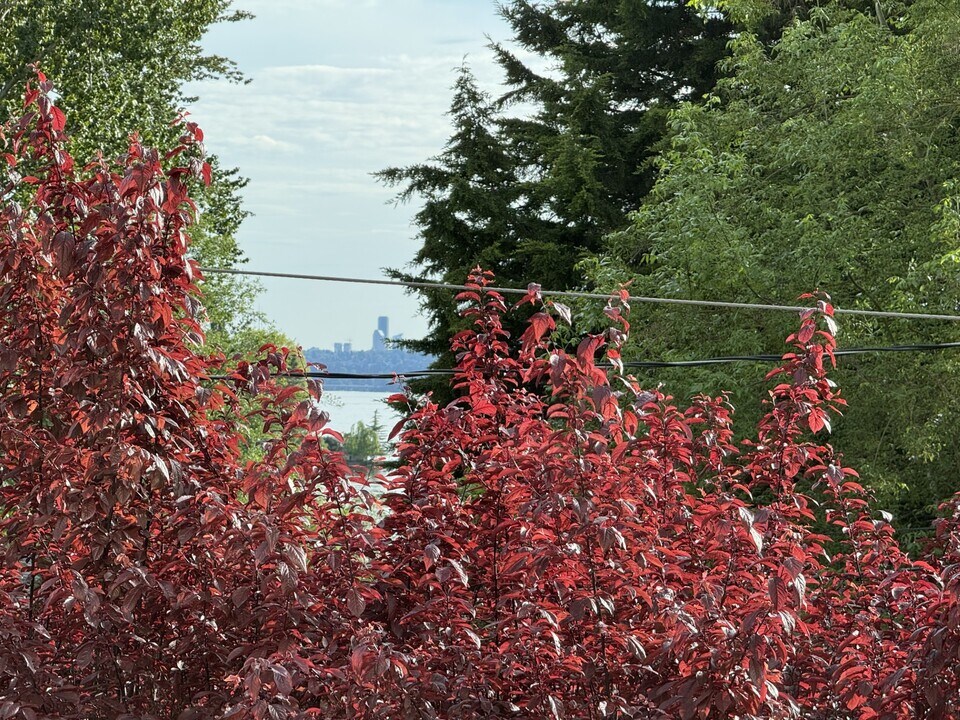 11430 99th Pl NE, Unit 1 in Kirkland, WA - Building Photo