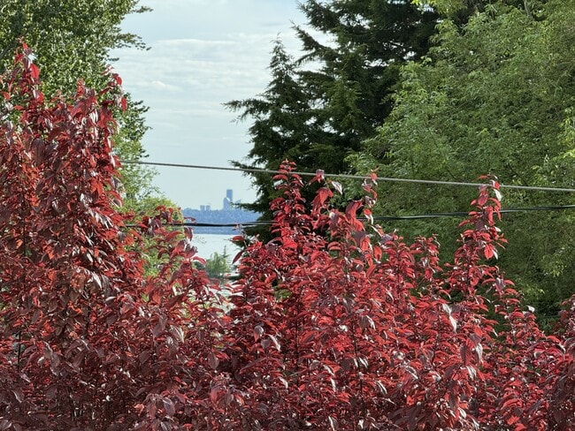 property at 11430 99th Pl NE