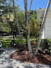 3618 Palmarito St in Coral Gables, FL - Building Photo - Building Photo