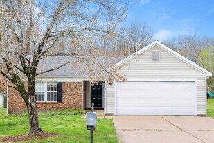 8722 Purple Thistle Ln in Charlotte, NC - Building Photo