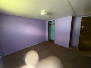 411 S Grover Ave in Alma, MI - Building Photo - Building Photo