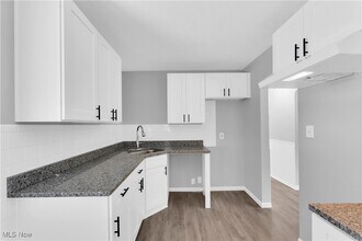 22501 Arms Ave in Euclid, OH - Building Photo - Building Photo