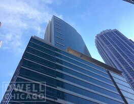 352 E Ohio St, Unit 2 in Chicago, IL - Building Photo