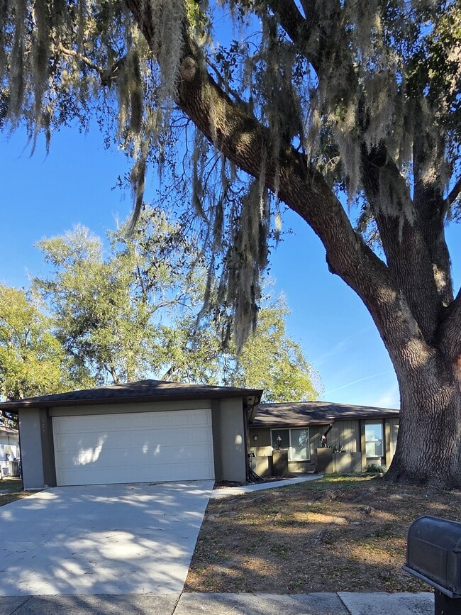 property at 325 Pacheco Ct